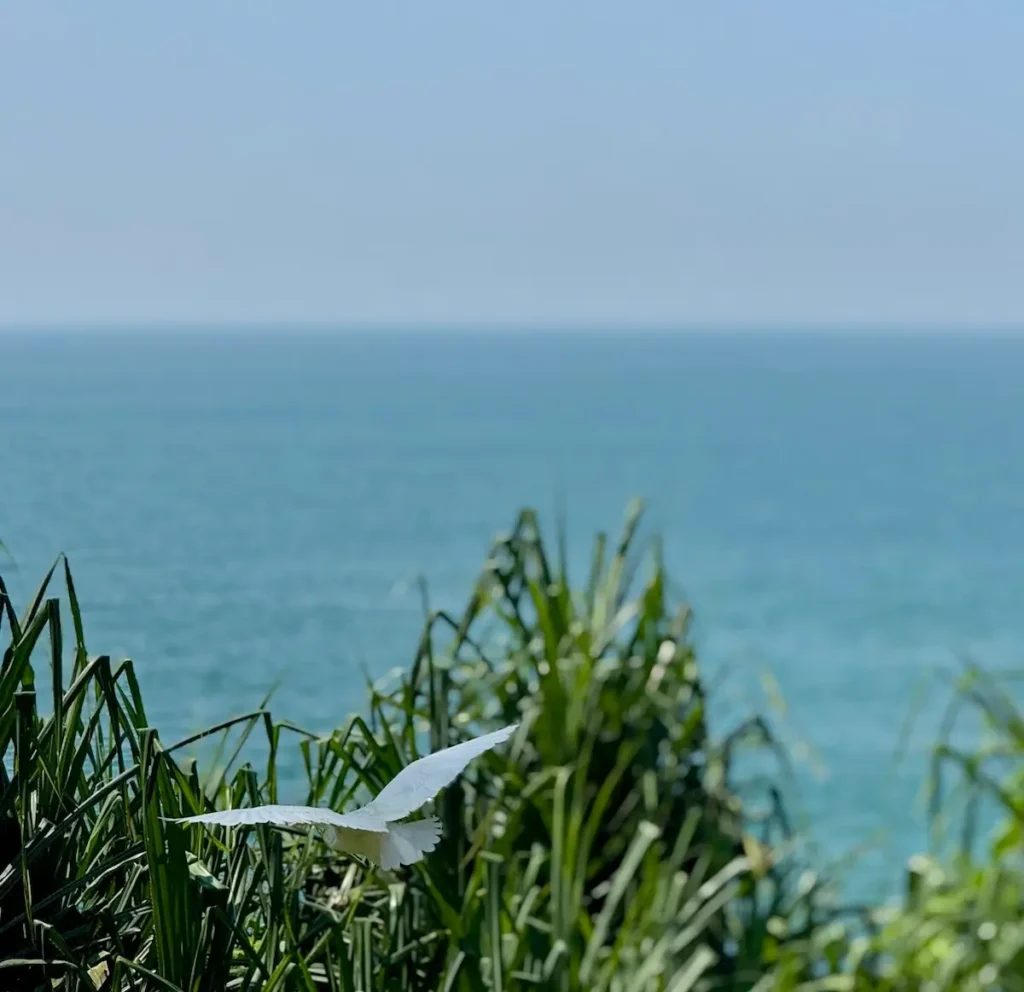 App Vay Tiền Nhanh Uy Tín Nhất