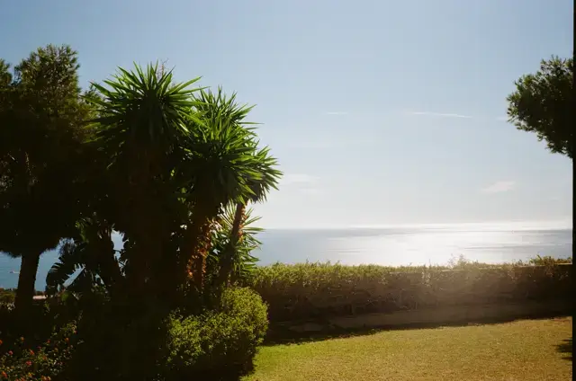 Find de bedste kviklån i Danmark hos Lafingo