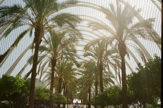 Онлайн кредити от чужбина