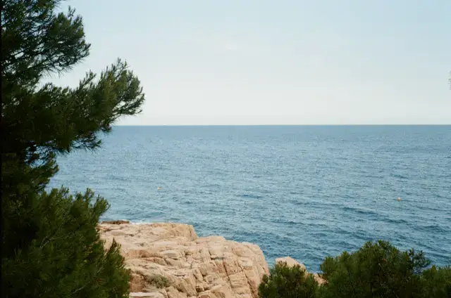 paskola bedarbiams