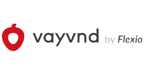 VayVND new logo