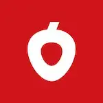 VayVND new square logo